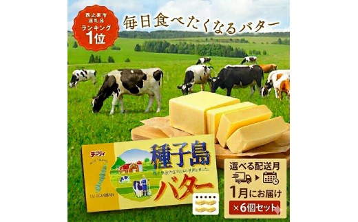 【 選べる 1月配送 】 種子島 バター 200g × 6箱  　NFN4016【350pt】// 種子島バター セット 種子島産 生乳のみ  お料理 お菓子作り 酪農 乳牛 普段使い 美味しい 生乳 牛乳 3.6牛乳 大人気