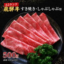 【ふるさと納税】牛肉 飛騨牛 すき焼き しゃぶしゃぶ セット 赤身 モモ 又は カタ 500g 黒毛和牛 A5 美味しい お肉 牛 肉 和牛 すき焼き肉 すきやき すき焼肉 しゃぶしゃぶ肉 【岐阜県池田町】　 集まり 夕飯 晩御飯 しゃぶしゃぶ用赤身 すき焼き用赤身