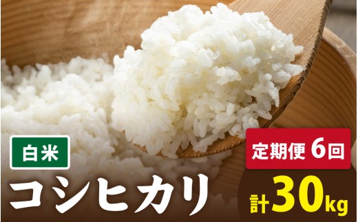 【先行予約】【6ヶ月連続お届け】【 令和8年産 新米 】有機JAS認証 オーガニックコシヒカリ 白米 5kg×1袋×6ヶ月（計30kg）【2026年10月より発送開始】｜ お米の定期便　白米 精米 玄米 選べる お米の定期便 米 こしひかり 福井 南越前町 うすい農園 頒布会 無農薬 有機肥料