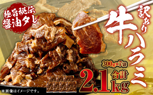 【先行予約】やわらか 牛ハラミ（サガリ）肉 極旨秘伝醤油タレ漬け 合計2.1kg（300g×7袋）【訳あり】【2025年6月下旬以降順次発送予定】ハラミ 牛肉 AS-578