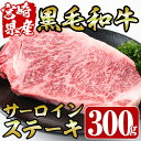 【ふるさと納税】宮崎県産黒毛和牛サーロインステーキ(300g)牛肉 お肉 肉 ブランド牛 冷凍 国産【R-72】【ミヤチク】