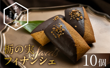 栃の実ショコラフィナンシェ 10個 ショコラ ココア フィナンシェ お菓子 チョコ 贈答 ギフト おすすめ とちのみ 栃の実 焼菓子 洋菓子【6-10】