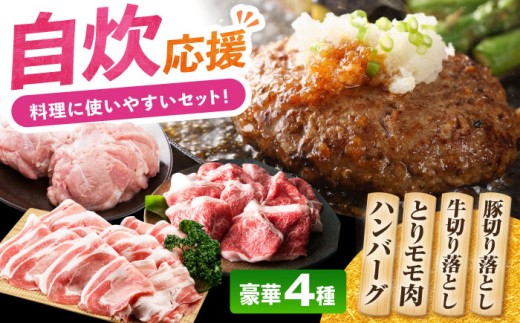 【通常発送】ハンバーグ付き！三栄のデイリーセット 【肉の三栄】 [HAA203]