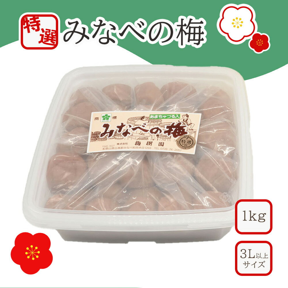 【ふるさと納税】【特選】みなべの梅（あまちゃづる）3L以上 1kg | 梅干 梅干し うめぼし 紀州 南高梅