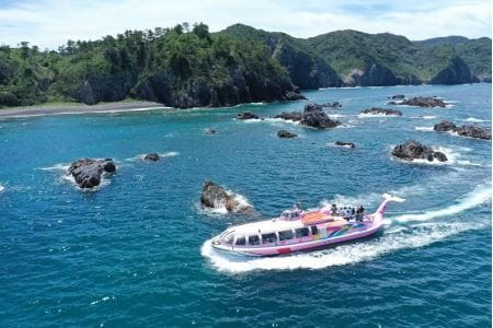 (1535)青海島観光汽船乗船券2名様分と宴会用ふぐ刺身4人前×2皿・唐揚付（冷凍）