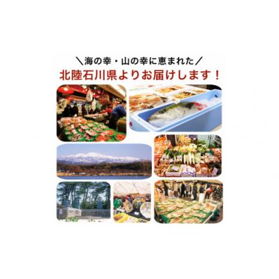 ふるさと納税 小松市 さわら西京漬け 6切れセット 冷凍さわら 小分け 西京焼 |  | 02