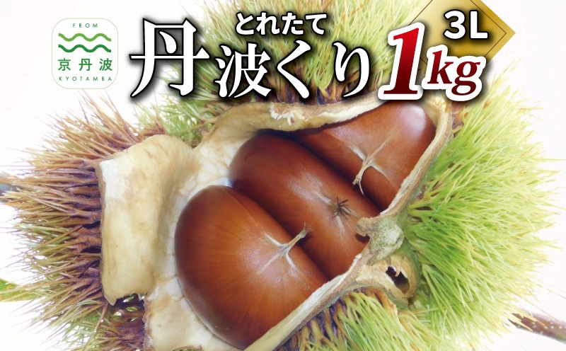 とれたて 丹波くり 3L 1kg（京都　京丹波町産 丹波栗 生栗）【大粒 和栗 生栗 国産栗 地域限定 丹波栗 くり 栗 栗ご飯】 ※北海道・沖縄・その他離島は配送不可