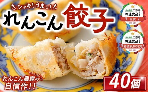 
                  「ご当地冷凍食品アワード2025-2026」金賞受賞！！ シャキ！うまっ！れんこん餃子（40個） ｜ 茨城県 レンコン 蓮根 野菜 シャキシャキ 冷凍 食品 惣菜 中華 ぎょうざ ギョウザ ※2026年10月～発送
                