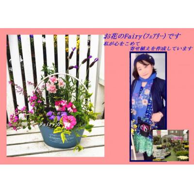 ふるさと納税 内灘町 季節ごとに変わる「ハッピーな寄せ植え」1鉢