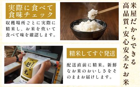 定期便 お米 特A 湧水米コシヒカリ【 5kg 6回 】定期便
