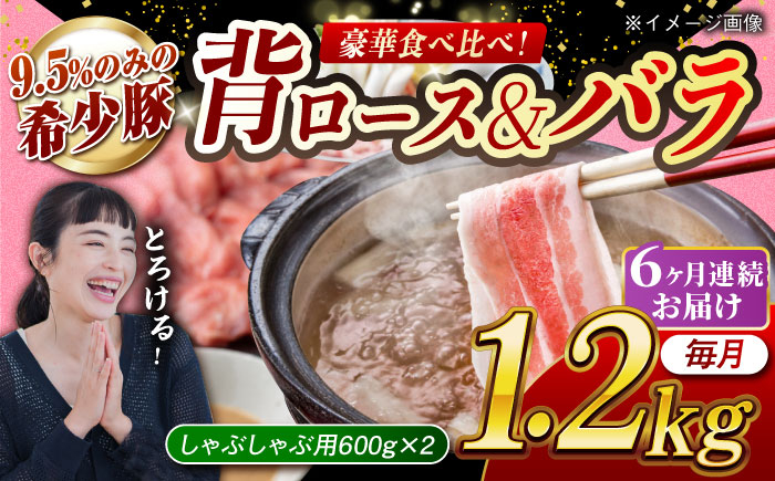 
            【月1回約1.2kg×6回定期便】大西海SPF豚 背ロース＆バラ（しゃぶしゃぶ用）計約7.2kg 長崎県/長崎県農協直販 [42ZZAA110]
          