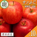 【ふるさと納税】 りんご サンふじ 家庭用 ～ 秀 10kg やまじゅうファーム 令和6年度収穫分 信州の環境にやさしい農産物 減農薬栽培 長野県 飯綱町 〔 信州 果物 フルーツ リンゴ 林檎 長野 26000円 予約 農家直送 〕発送時期：2024年11月下旬～2024年12月中旬{**}