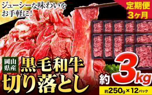牛肉【3ヶ月定期便】 肉 黒毛和牛 切り落とし 訳あり 大容量 小分け 3kg 1パック 250g 定期便《お申込み月翌月から出荷開始》岡山県産 岡山県 笠岡市 お肉 にく カレー 牛丼 切り落し 切落し