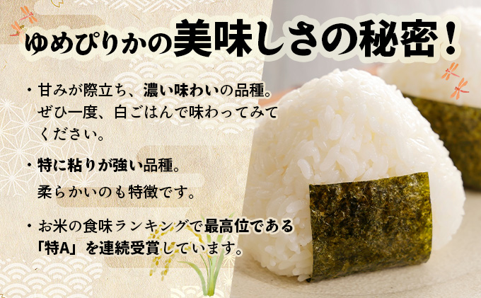 令和7年産 上志文産メープル米「ゆめぴりか」10kg [a121-013-r7]