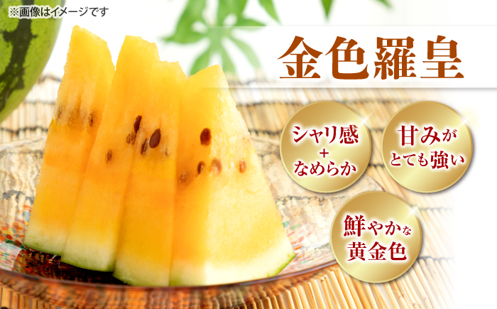 【食べ比べ】 金色羅皇＆羅皇ザ・スウィート（計2玉） ＜ファームまるだ＞ [CDT008]