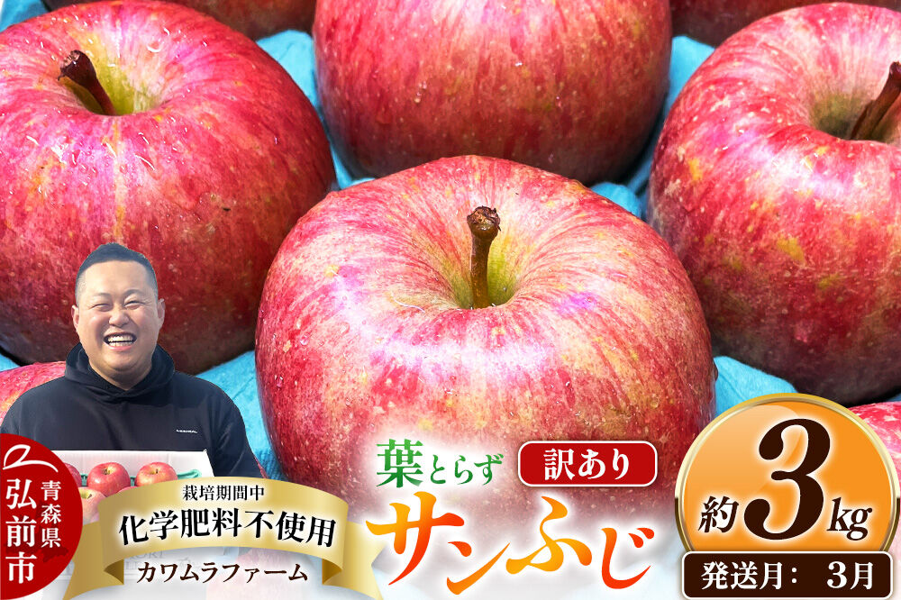 【27年3月クール便発送】りんご 葉とらず サンふじ【訳あり】約3kg【先行受付】カワムラファーム 青森県 弘前市 果物 フルーツ 林檎 リンゴ くだもの 不揃い 規格外 [先行予約 クール便 産地直