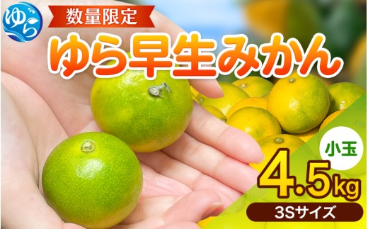 ゆら早生 みかん  ≪小玉≫ 4.5kg (3Sサイズ)  / みかん 小玉サイズ 甘い 蜜柑 フルーツ 果物 くだもの 食品 人気 晩柑 おすすめ 送料無料 産地直送 和歌山 由良町 ※2026年10月中旬頃~2026年10月下旬頃に順次発送予定【kzmn003-3s-4d5B】