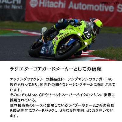 ふるさと納税 東大阪市 Z900RS(21-)/Z900(18-)/Ninja1000SX(20-)用 ラジエターコアガード |  | 02