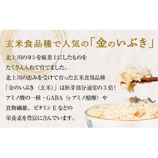 令和7年産 金のいぶき（玄米）5kg