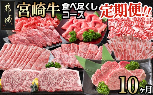
迷ったらコレ!宮崎牛食べ尽くし定期便(10ヵ月)_T120（10）-0101_(都城市) A5 5等級 牛肉 バラ 赤身 サーロインステーキ ヒレステーキ ロース 焼き肉 しゃぶしゃぶ すき焼き スライス 切り落とし
