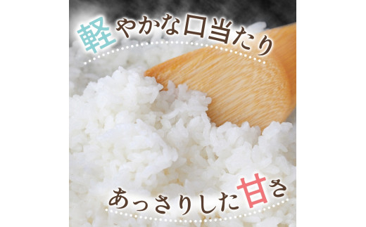  米 キヌヒカリ 2025年9月中旬より順次発送 和歌山県産 10kg  (2025年産) / 精米 お米 由良町 白米 きぬひかり 和歌山県【sml400-kinu-10D】