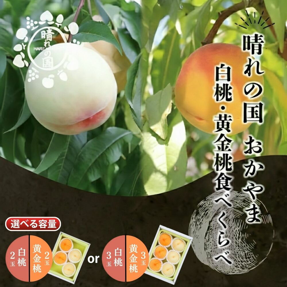 【ふるさと納税】【先行予約】【選べる容量】晴れの国おかやま 白桃・黄金桃食べ比べ 4玉 or 6玉【8月下旬～9月上旬発送】【021-a024/021-a025】