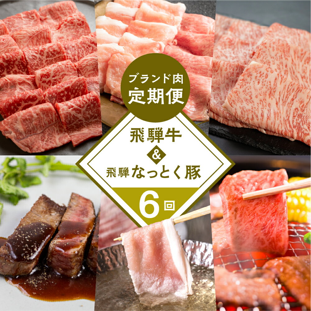 【ふるさと納税】 飛騨牛 ＆ なっとく豚 ブランド肉 定期便 6回 牛肉 豚肉 (ステーキ / すき焼き / しゃぶしゃぶ / 焼き肉) カルビ イチボ お楽しみ 下呂温泉 おすすめ ブランド牛 赤身 霜降り 肉ギフト 国産き 焼肉 豚しゃぶ ギフト 定期便 100,000円 岐阜県 下呂市