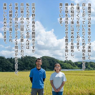 ふるさと納税 鶴岡市 【令和6年産米】黒川まるいし農場のコシヒカリ・つや姫・雪若丸 精米 各2kg　K-639 |  | 02