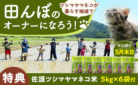 対馬 佐護 ツシマヤマネコ 米 田んぼオーナー1年権【ツシマヤマネコ米30kg付き】（対馬市） 米作り体験 田植え 体験 稲刈り 離島 チケット  [WAP015]