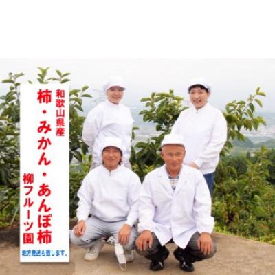 ふるさと納税 橋本市 柳フルーツ園 たねなし柿 約2kg |  | 03