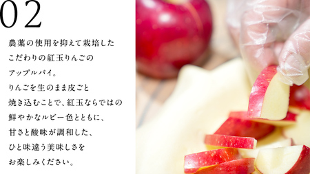 アップルパイ （ ホール 直径 20ｃｍ ） 自家製 ケーキ パイ 焼き菓子 リンゴ スイーツ ホール お取り寄せ お菓子 洋菓子 紅玉りんご ギフト 贈り物 [BL001tu]