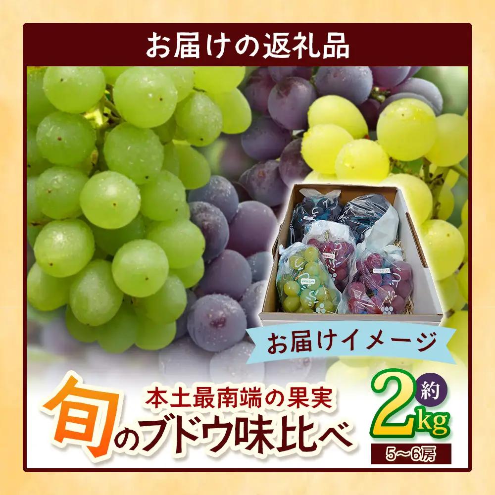 【先行予約・数量限定】2026年7月下旬発送 旬のブドウ味くらべ約2kg (5～6房) TE708｜期間限定 産地直送 旬 ブドウ 葡萄 ぶどう フルーツ 果物 くだもの 果実 食べ比べ 鹿児島県 南