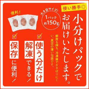 オアシス九州 熊本県産あか牛ハンバーグ150ｇ×10個 _U117-0049