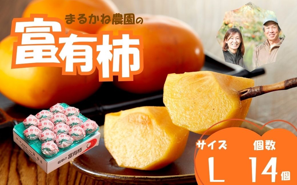 
                  【先行予約／令和8年産／2026年11月上旬～発送開始予定】  富有柿贈答用Lサイズ14個入り [1380] | まるかね農園 かき 富有柿 ふゆうがき フルーツ 岐阜県 本巣市 ギフト 贈り物 果物 農家直送 産地直送
                