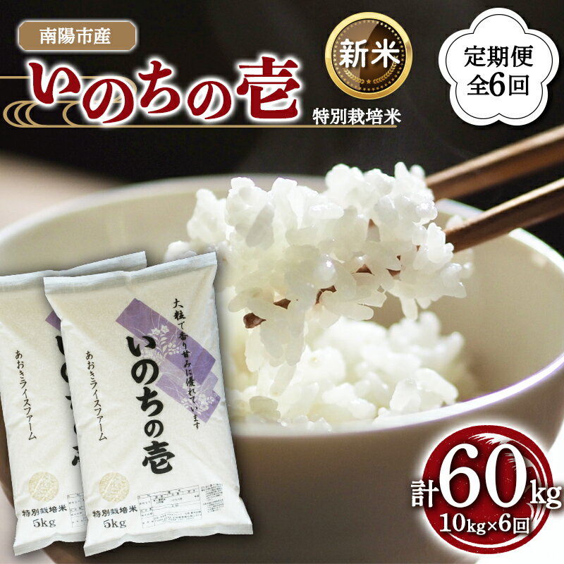 【ふるさと納税】 【令和8年産 新米 先行予約】 【金賞受賞農家】 《定期便6回》 特別栽培米 いのちの壱 計10kg(5kg×2袋)×6か月 《令和8年10月中旬～発送》 『あおきライスファーム』 山形南陽産 米 白米 精米 ご飯 農家直送 山形県 南陽市 [2669-R8]