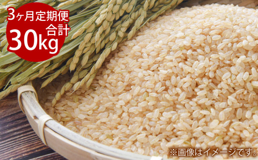 【3ヵ月定期便】3回連続 岡山県倉敷市産 きぬむすめ  10kg 玄米 計30kg【2026年10月より1回目発送開始】