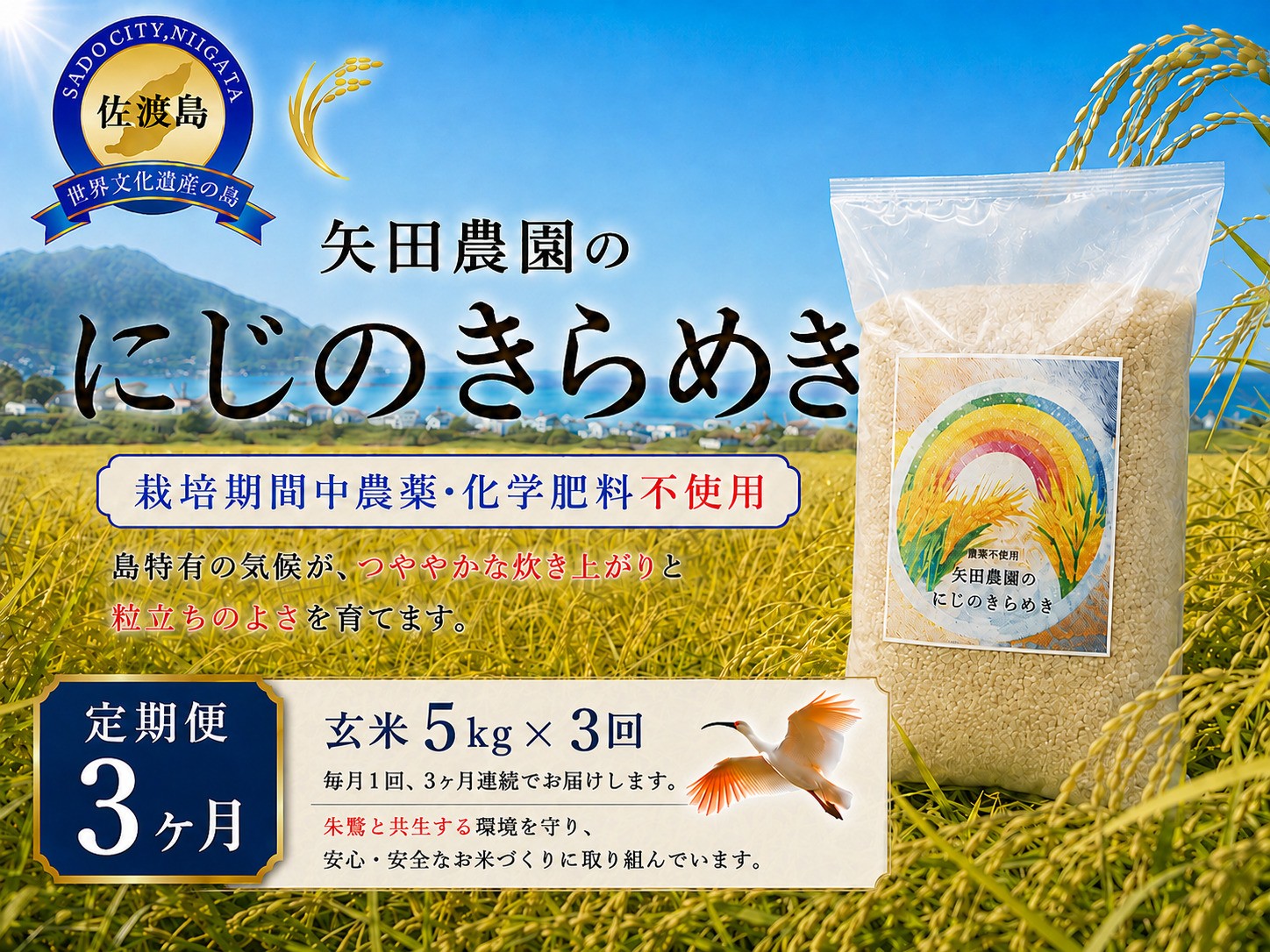 
                  【3か月定期便 令和8年産】佐渡産にじのきらめき 玄米(5kg×3回) 栽培期間中 農薬・化学肥料不使用 矢田農園 | 新潟県産にじのきらめき 新潟産にじのきらめき 佐渡産にじのきらめき お米 米 にじのきらめき 玄米 おこめ コメ 5キロ 農家直送 にいがた さど 新潟県 佐渡市
                