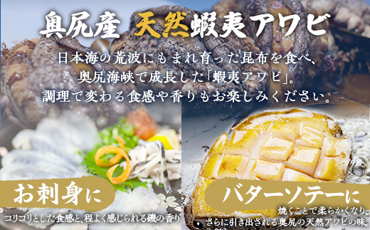 【2025年10月下旬以降発送】奥尻産天然アワビ１kg以上 【 ふるさと納税 人気 おすすめ ランキング あわび アワビ 鮑 貝 天然 魚介 蝦夷アワビ 新鮮 活あわび 活アワビ 北海道 奥尻町 送料