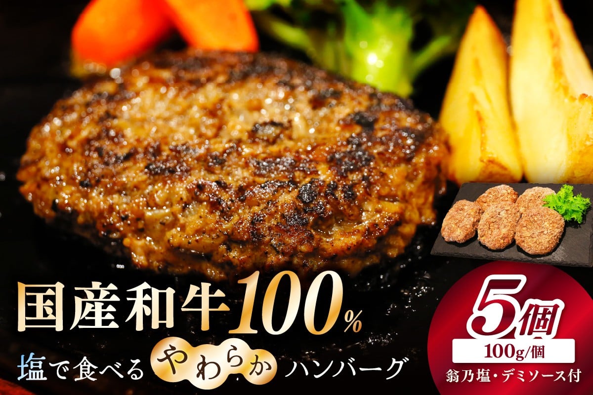 
                  こだわり塩付／塩で食べるやわらかハンバーグ（デミグラスソース付）京たんくろ和牛入りの牛肉100％　NH00040
                