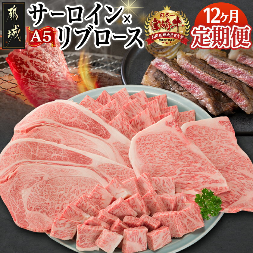 【ふるさと納税】【A5】宮崎牛サーロイン×宮崎牛リブロース三昧定期便(12ヶ月) - 都城産宮崎牛 牛肉 スライス/サイコロ/焼肉/ステーキ サーロイン リブロース 送料無料 TAE12-0101【宮崎県都城市は2年連続ふるさと納税日本一！】