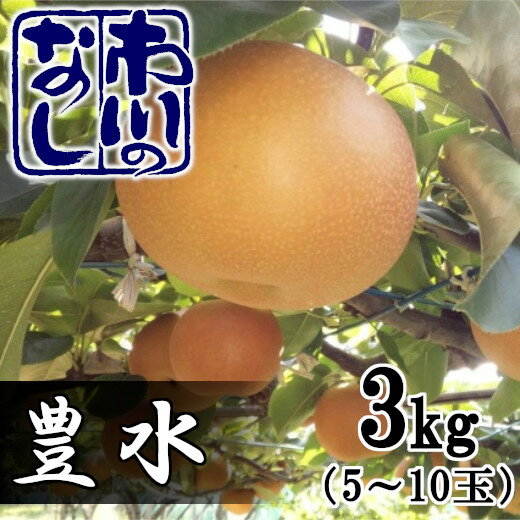 【ふるさと納税】市川の梨　豊水　3kg（5～10個入り）　【12203-0124】