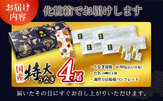 ［2026年1月お届け］特大 うなぎ 鰻楽 国産 蒲焼 4尾 無頭 計800g以上 期間限定 数量限定【C388-800-01】