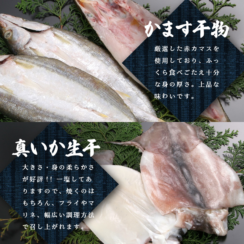 ＜小木曽商店＞　干物詰合せ＜Eセット＞