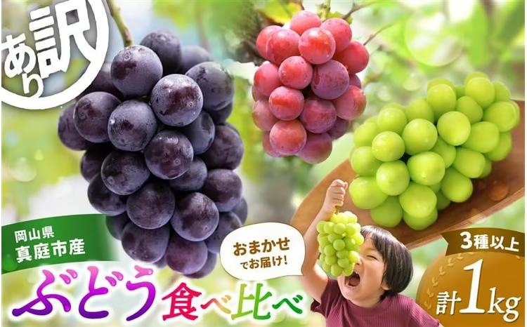 シャインマスカット ピオーネ 【2027年の先行予約！】 訳あり ぶどう 花笑み農園おまかせ3種以上（約１kg） / ぶどう 詰め合わせ 食べ比べ シャインマスカット ピオーネ クイーンニーナ オーロラブラック 瀬戸ジャイアンツ 翠峰 BKシードレス マスカサーティーン マスカットノワール 雄宝 マイハート 岡山 真庭市 【hana018-03】