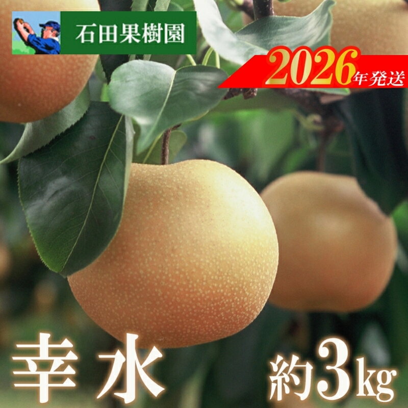 【ふるさと納税】No.2736梨　幸水　3kg【2026年発送　先行予約】