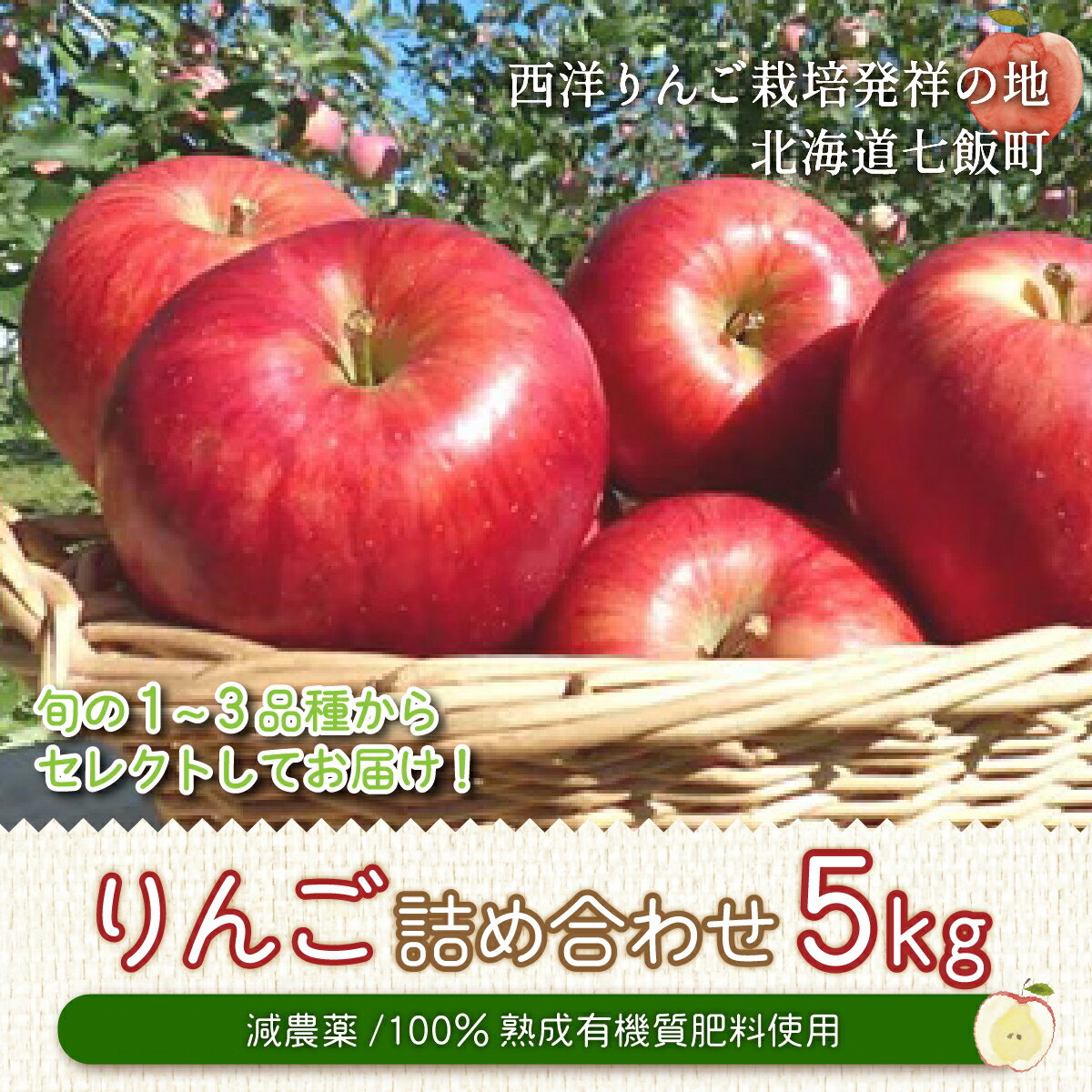 【ふるさと納税】 北海道七飯町産 りんご 5kg 有機質肥料使用 【 北海道七飯町 りんご 減農薬 有機質肥料 健康 オーガニック 美容 】 NAR002