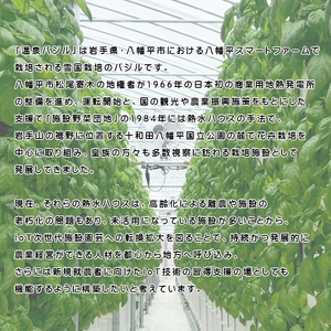 温泉バジル薫るジューシーソーセージセット （プレーン・チーズ入り） ／ バジル ソーセージ バジルソーセージ ポーク ポークソーセージ おつまみ お弁当 おかず ウインナー 小分け 冷蔵 晩酌 つまみ