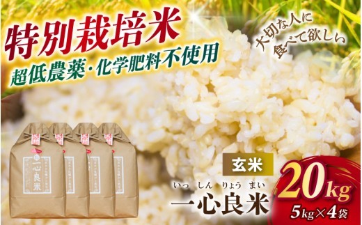 【令和8年産】 真庭市産コシヒカリ 米ぬか 牡蠣栽培米 『 一心良米 』 玄米 20kg (5kg×4袋） / お米 いっしんりょうまい 岡山県 こしひかり 人気 ブランド 2026年産 【tkns023-02】