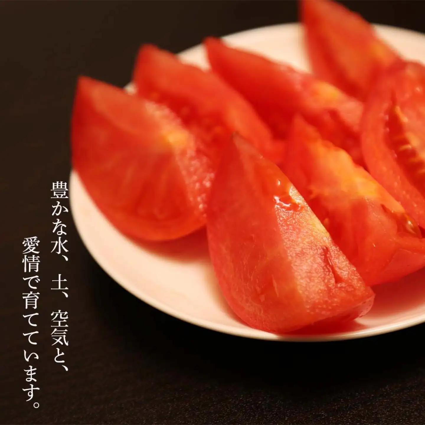 【ふるなびWEEK対象】トマト 約1.5kg [AJAJ004] トマト 北海道