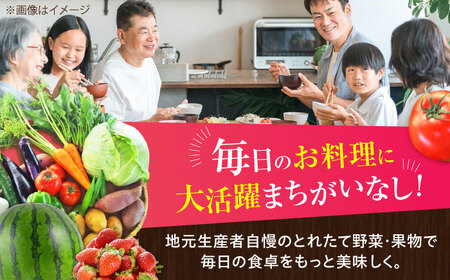 【全6回定期便】【数量限定】菊陽町特産品 「野菜・果物などの詰め合わせ」 / 新鮮 詰合せ フルーツ セット 旬 おまかせ にんじん 直売所 やさい くだもの 熊本県 特産品 菊陽町【有限会社さんふれ
